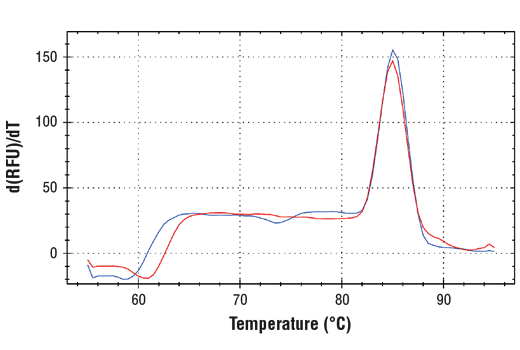 Melt Curve